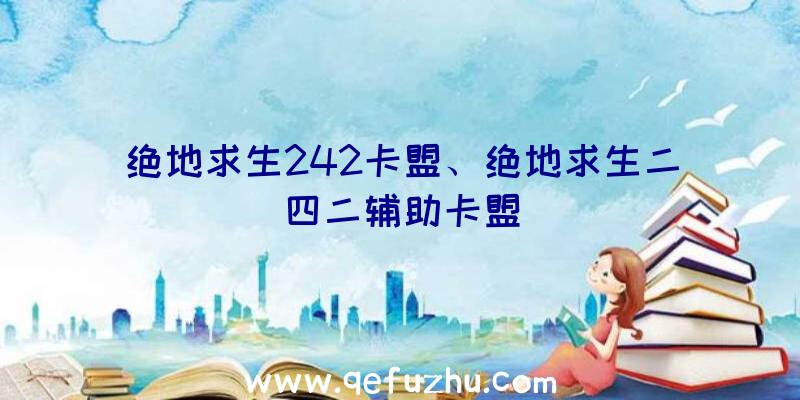 绝地求生242卡盟、绝地求生二四二辅助卡盟