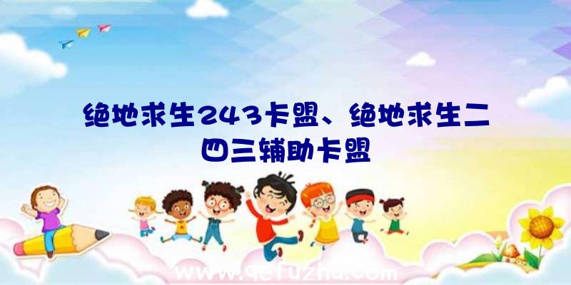 绝地求生243卡盟、绝地求生二四三辅助卡盟