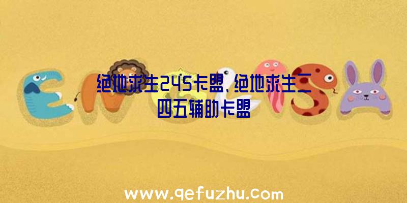 绝地求生245卡盟、绝地求生二四五辅助卡盟