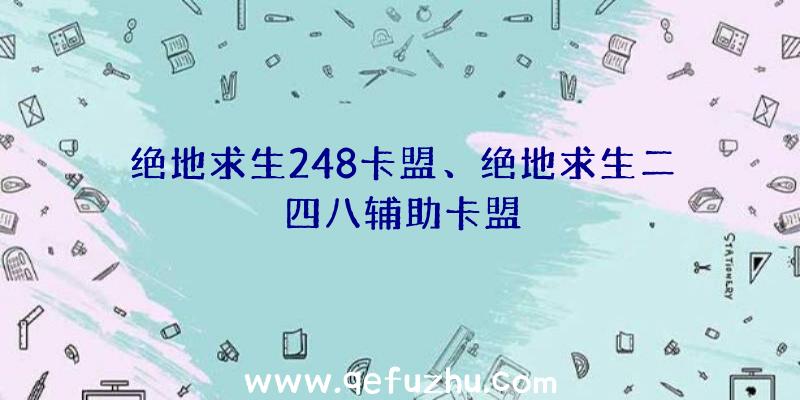 绝地求生248卡盟、绝地求生二四八辅助卡盟