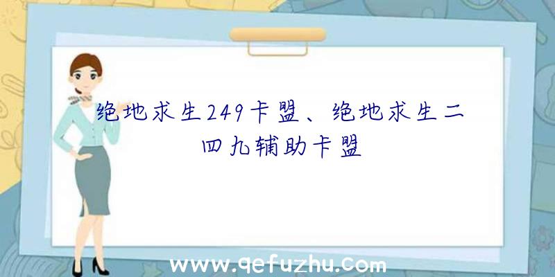 绝地求生249卡盟、绝地求生二四九辅助卡盟