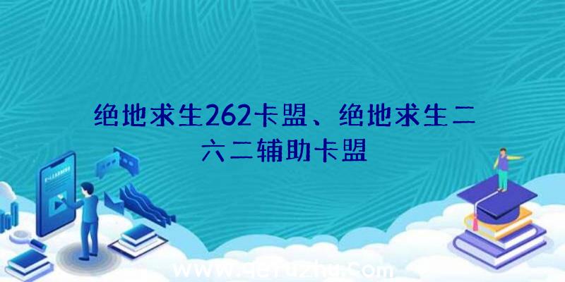 绝地求生262卡盟、绝地求生二六二辅助卡盟