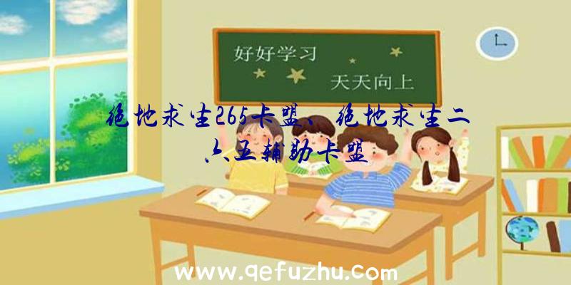 绝地求生265卡盟、绝地求生二六五辅助卡盟