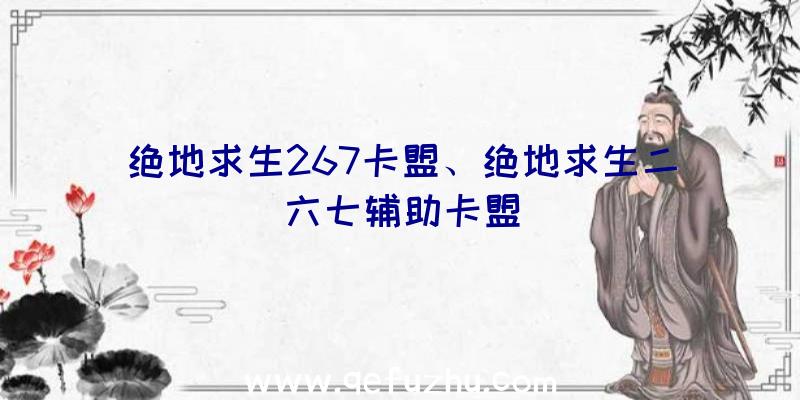 绝地求生267卡盟、绝地求生二六七辅助卡盟