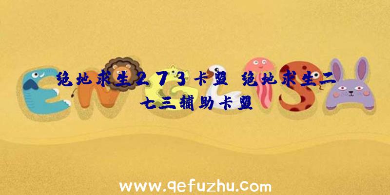 绝地求生273卡盟、绝地求生二七三辅助卡盟