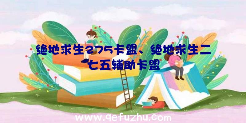 绝地求生275卡盟、绝地求生二七五辅助卡盟