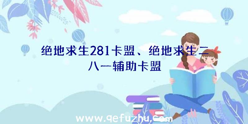 绝地求生281卡盟、绝地求生二八一辅助卡盟