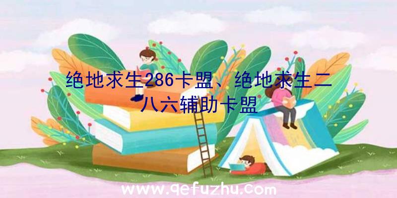 绝地求生286卡盟、绝地求生二八六辅助卡盟