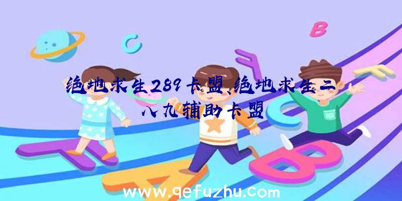 绝地求生289卡盟、绝地求生二八九辅助卡盟