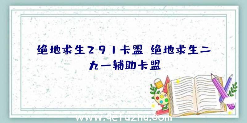 绝地求生291卡盟、绝地求生二九一辅助卡盟