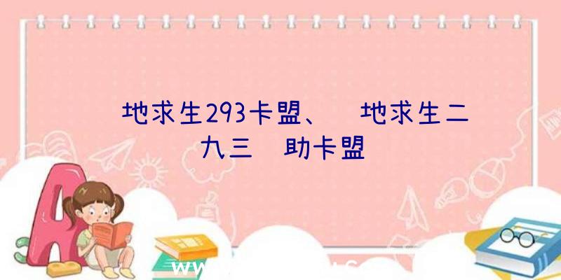 绝地求生293卡盟、绝地求生二九三辅助卡盟