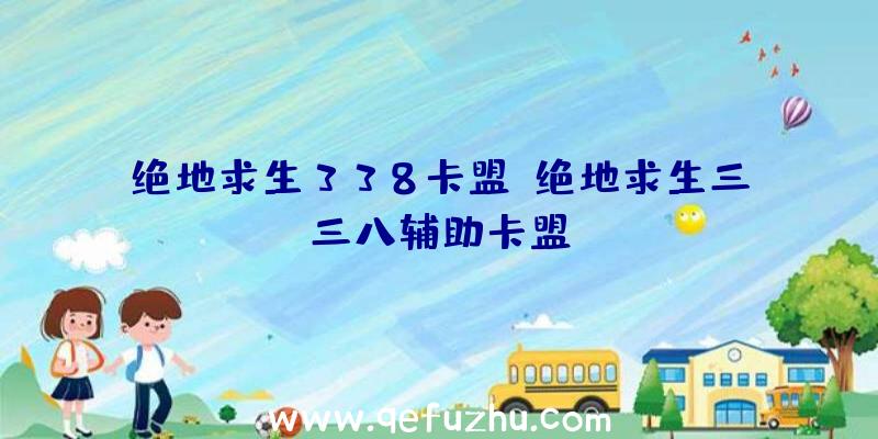 绝地求生338卡盟、绝地求生三三八辅助卡盟