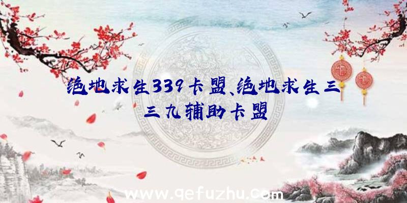 绝地求生339卡盟、绝地求生三三九辅助卡盟