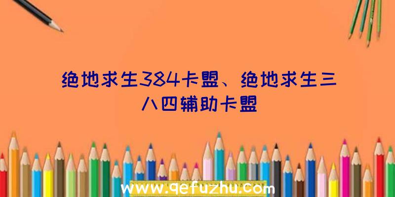 绝地求生384卡盟、绝地求生三八四辅助卡盟