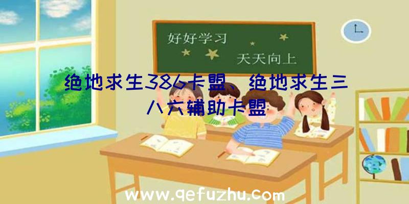 绝地求生386卡盟、绝地求生三八六辅助卡盟