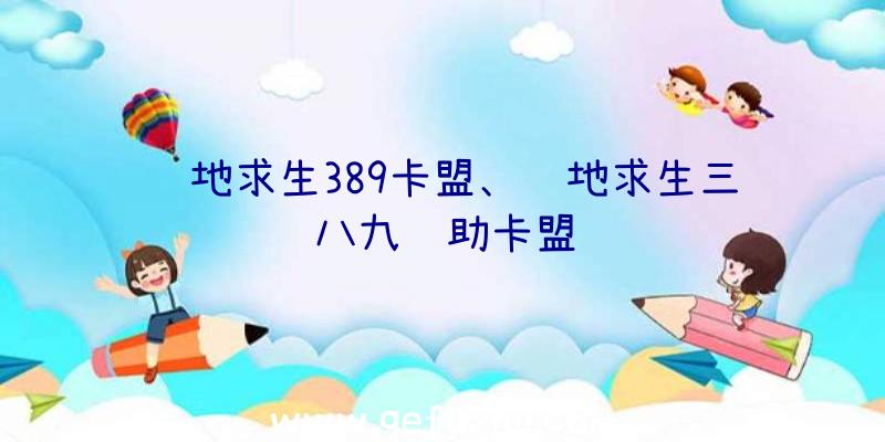 绝地求生389卡盟、绝地求生三八九辅助卡盟