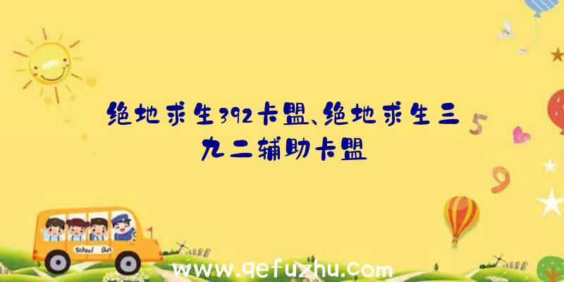 绝地求生392卡盟、绝地求生三九二辅助卡盟