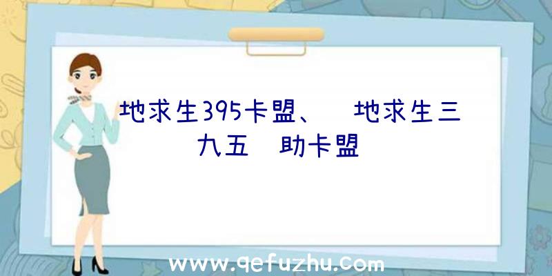 绝地求生395卡盟、绝地求生三九五辅助卡盟