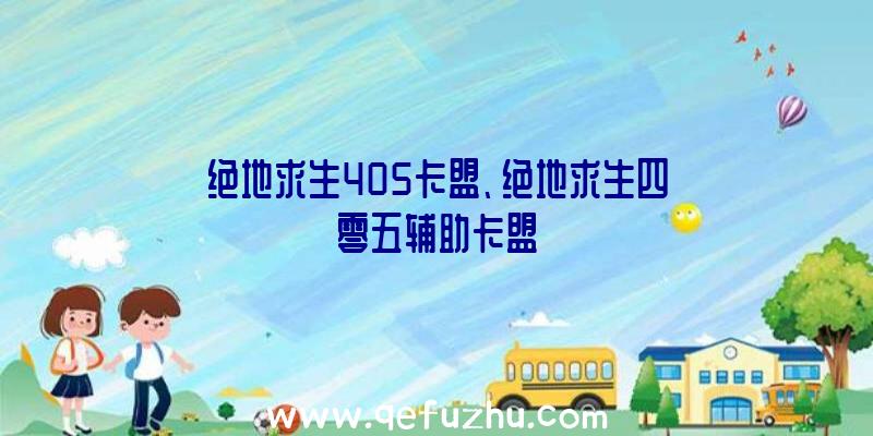 绝地求生405卡盟、绝地求生四零五辅助卡盟