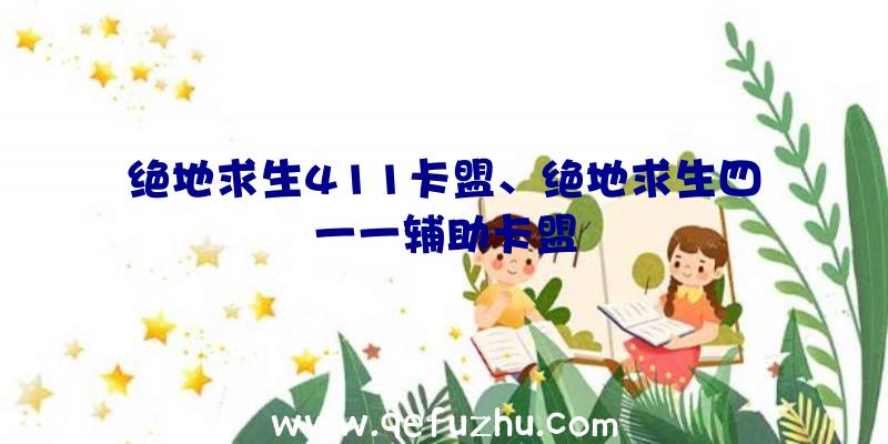 绝地求生411卡盟、绝地求生四一一辅助卡盟