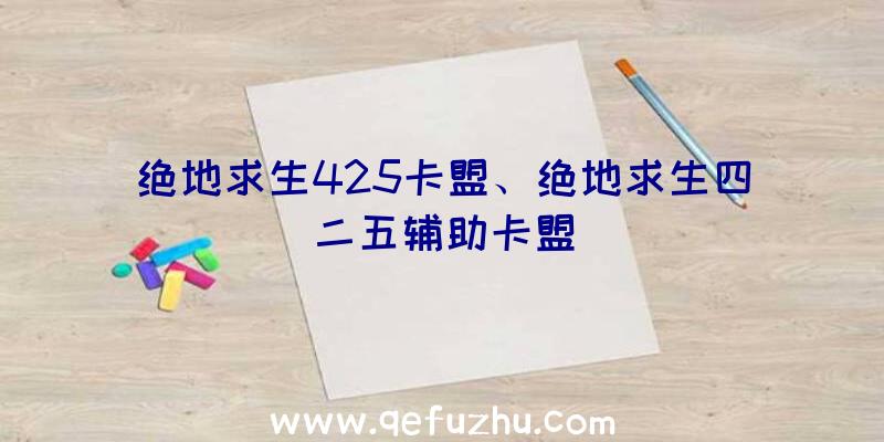 绝地求生425卡盟、绝地求生四二五辅助卡盟