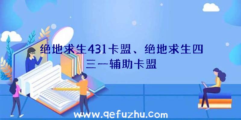 绝地求生431卡盟、绝地求生四三一辅助卡盟