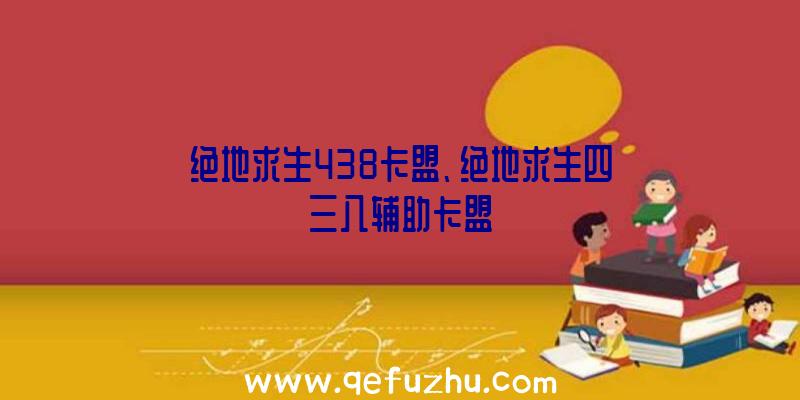 绝地求生438卡盟、绝地求生四三八辅助卡盟