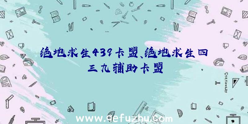 绝地求生439卡盟、绝地求生四三九辅助卡盟