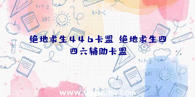 绝地求生446卡盟、绝地求生四四六辅助卡盟