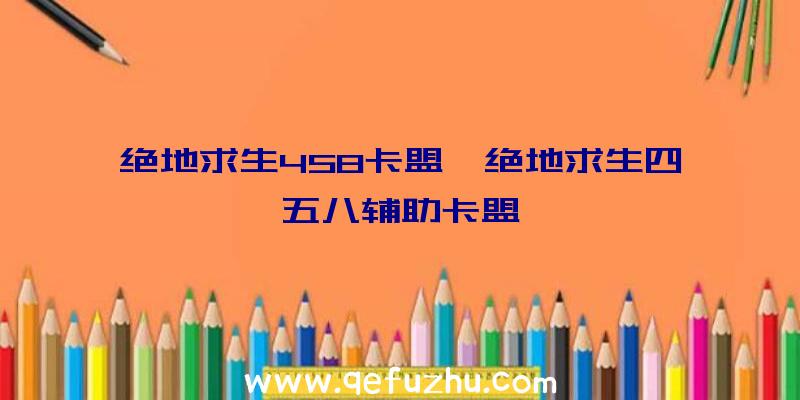 绝地求生458卡盟、绝地求生四五八辅助卡盟