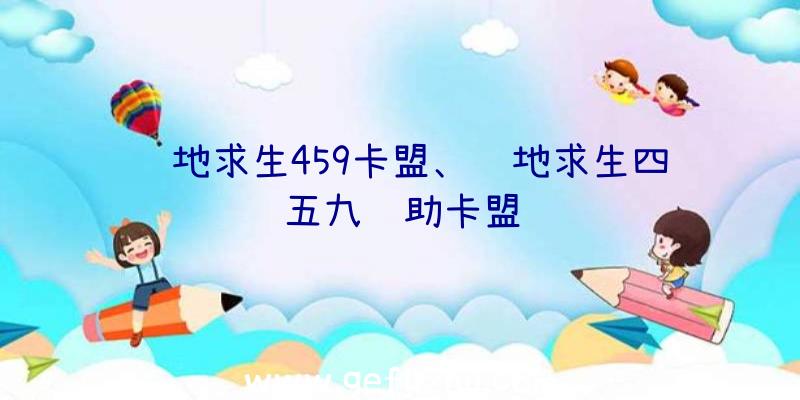 绝地求生459卡盟、绝地求生四五九辅助卡盟