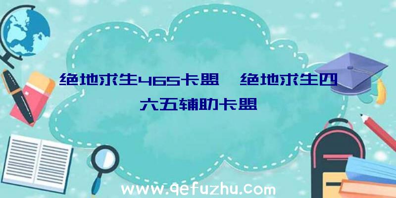 绝地求生465卡盟、绝地求生四六五辅助卡盟