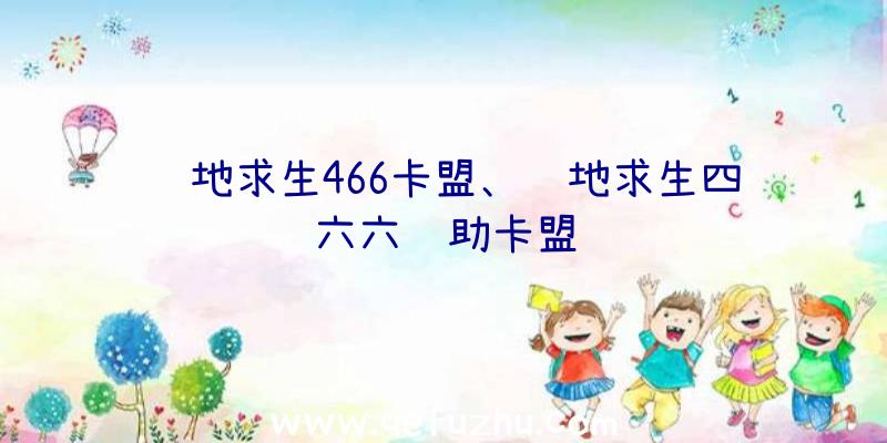 绝地求生466卡盟、绝地求生四六六辅助卡盟