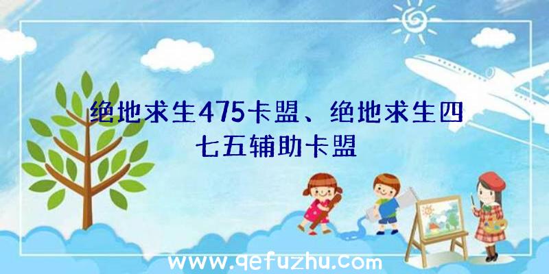 绝地求生475卡盟、绝地求生四七五辅助卡盟