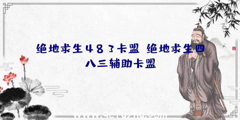 绝地求生483卡盟、绝地求生四八三辅助卡盟