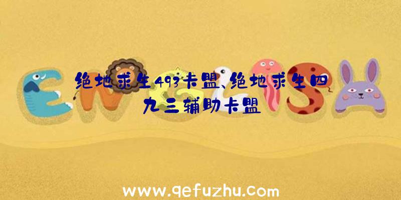 绝地求生493卡盟、绝地求生四九三辅助卡盟