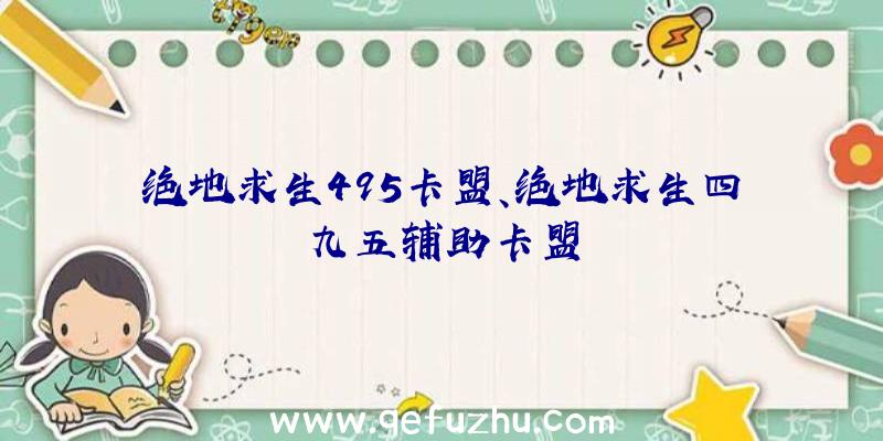 绝地求生495卡盟、绝地求生四九五辅助卡盟