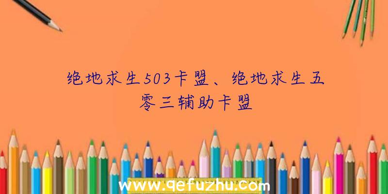 绝地求生503卡盟、绝地求生五零三辅助卡盟