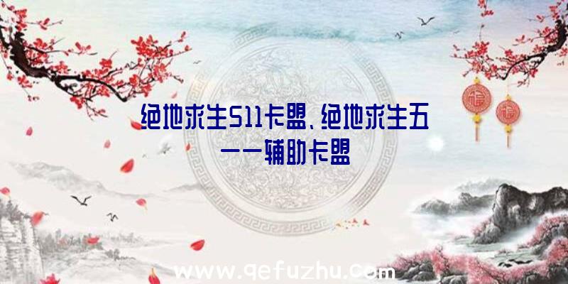 绝地求生511卡盟、绝地求生五一一辅助卡盟