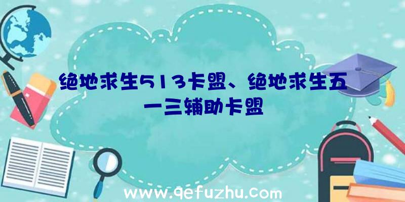 绝地求生513卡盟、绝地求生五一三辅助卡盟