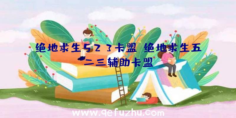 绝地求生523卡盟、绝地求生五二三辅助卡盟