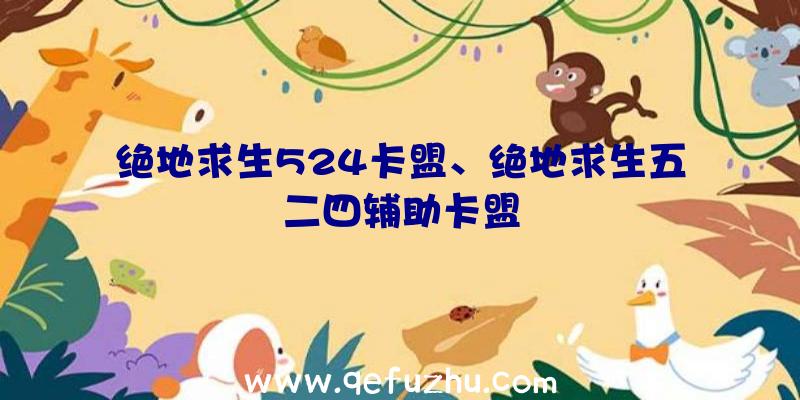 绝地求生524卡盟、绝地求生五二四辅助卡盟