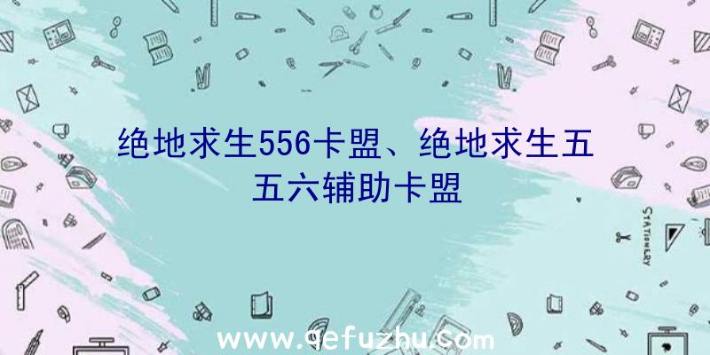 绝地求生556卡盟、绝地求生五五六辅助卡盟