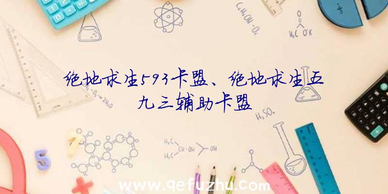 绝地求生593卡盟、绝地求生五九三辅助卡盟