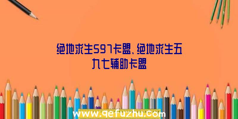 绝地求生597卡盟、绝地求生五九七辅助卡盟