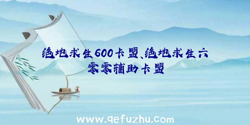 绝地求生600卡盟、绝地求生六零零辅助卡盟