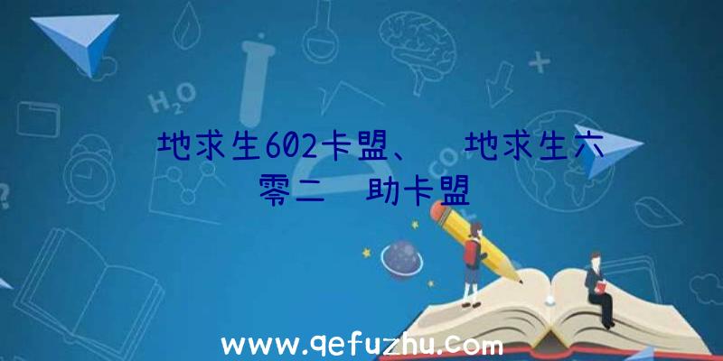 绝地求生602卡盟、绝地求生六零二辅助卡盟