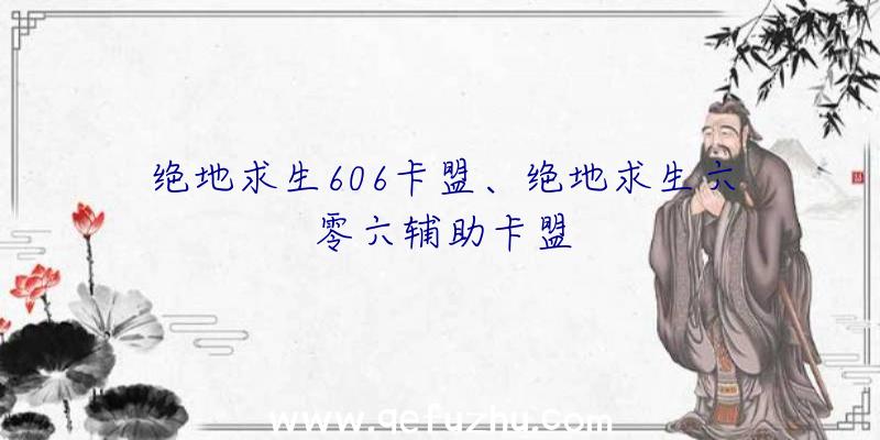 绝地求生606卡盟、绝地求生六零六辅助卡盟