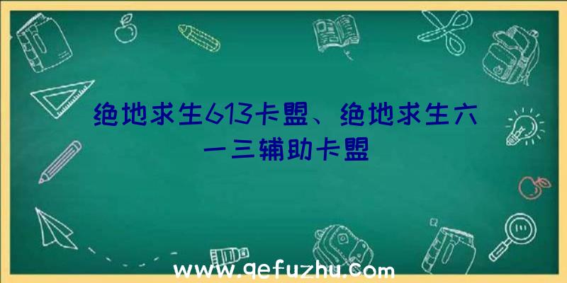 绝地求生613卡盟、绝地求生六一三辅助卡盟