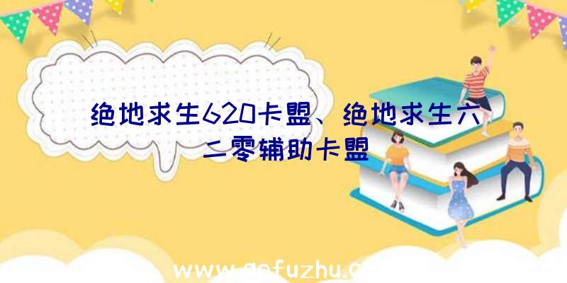 绝地求生620卡盟、绝地求生六二零辅助卡盟